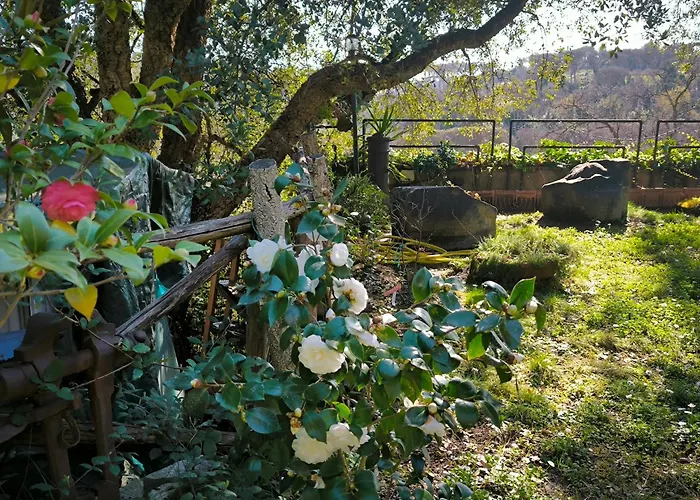 Cassia, Luminoso Open Space Nel Verde, Casa Dei Leoni